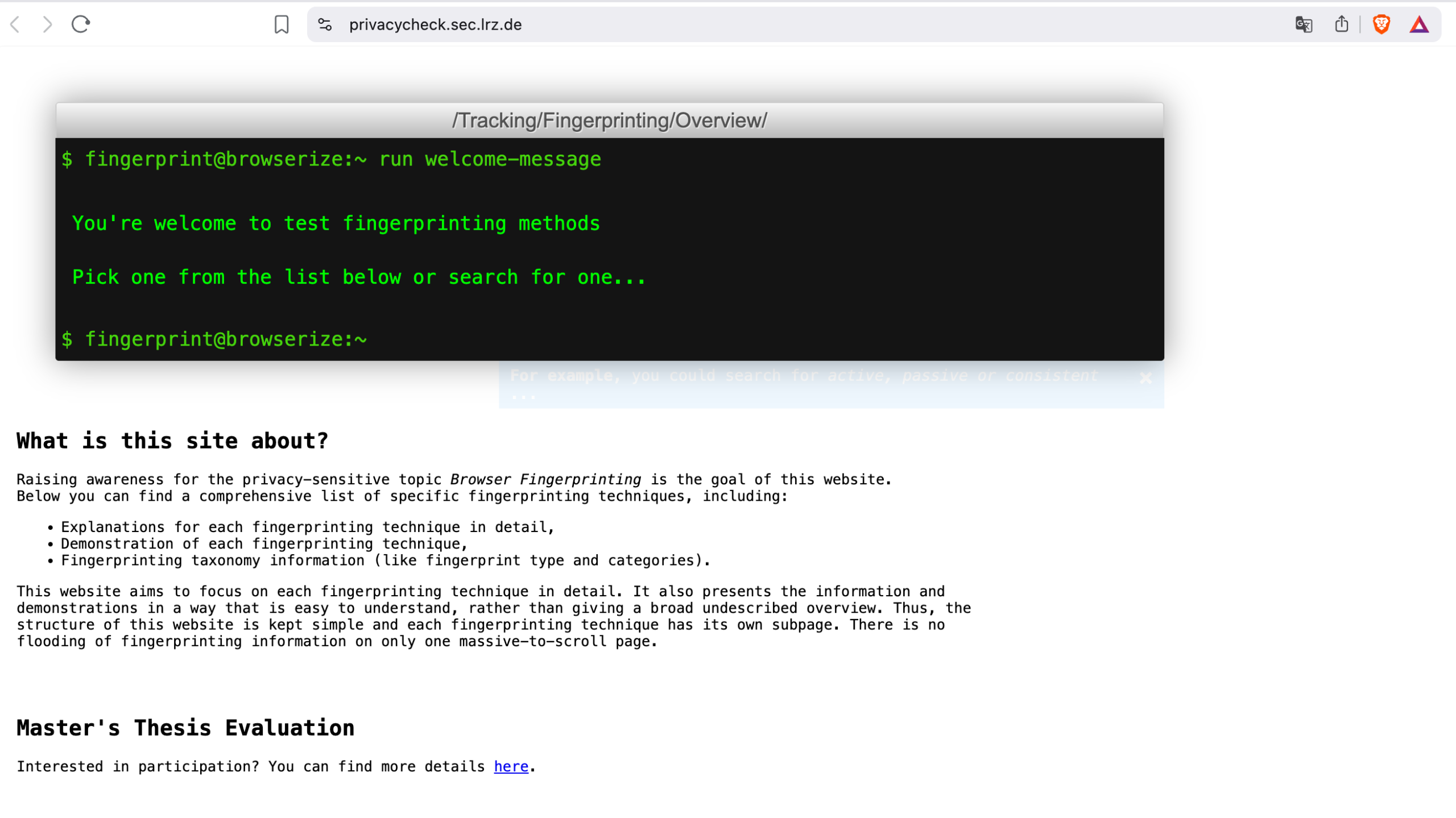Browserize / PrivacyCheck 收录 Active 与 Passive Fingerprinting 实验,包括 ETag、HTTP/2、JSEcho 等方法。