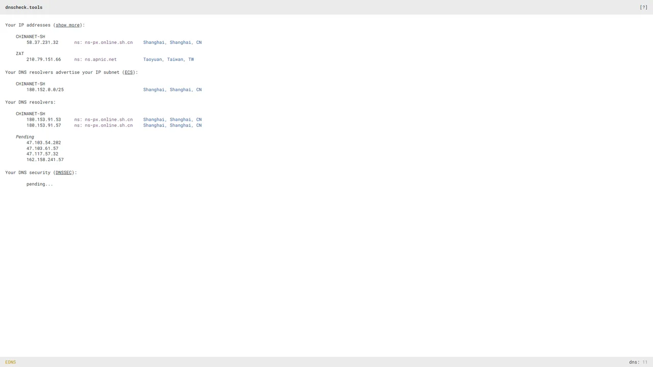 DNSCheck.tools official website screenshot